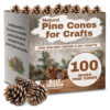 Billy Buckskin Co. Large Natural Pine Cones for Craft - 100 Count