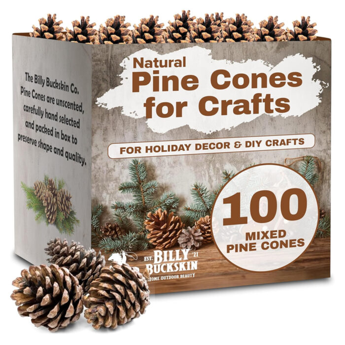 Billy Buckskin Co. Large Natural Pine Cones for Craft - 100 Count