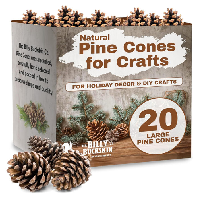 Billy Buckskin Co. Large Natural Pine Cones for Craft - 20 Count