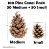 Billy Buckskin Co. Large Natural Pine Cones for Craft